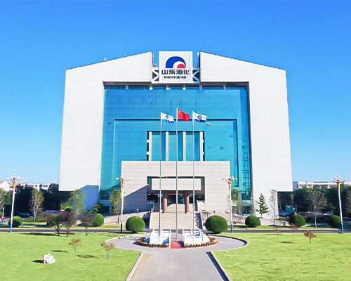 Shandong Haihua Group Co.,Ltd.