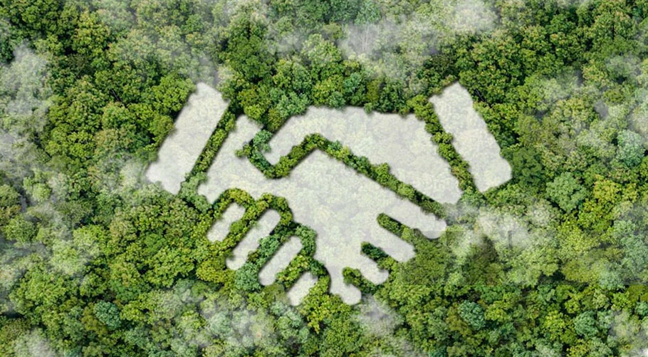 Shandong Haihua Group Co.,Ltd.