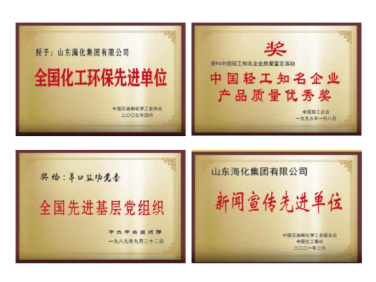 Shandong Haihua Group Co.,Ltd.