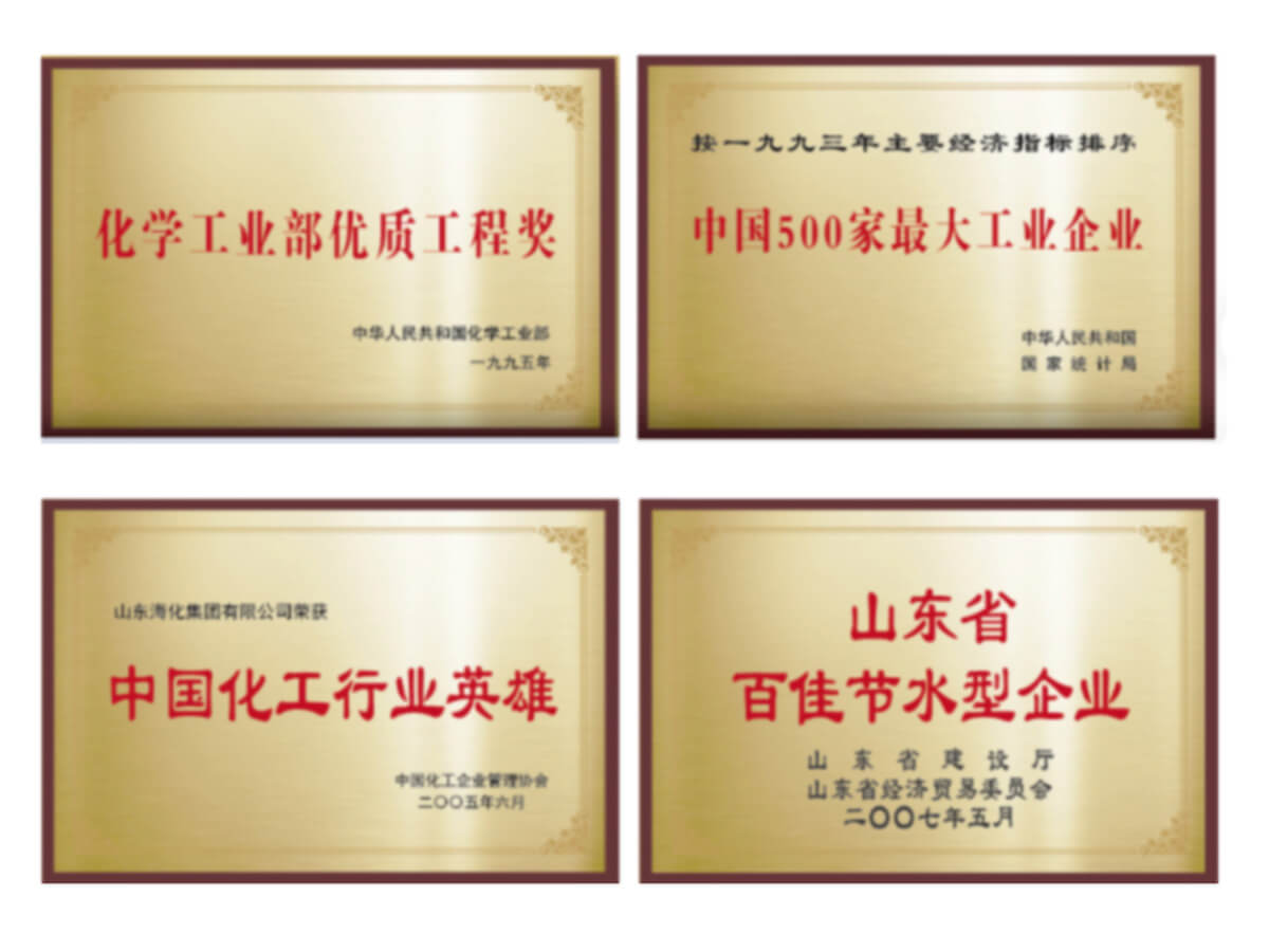 Shandong Haihua Group Co.,Ltd.