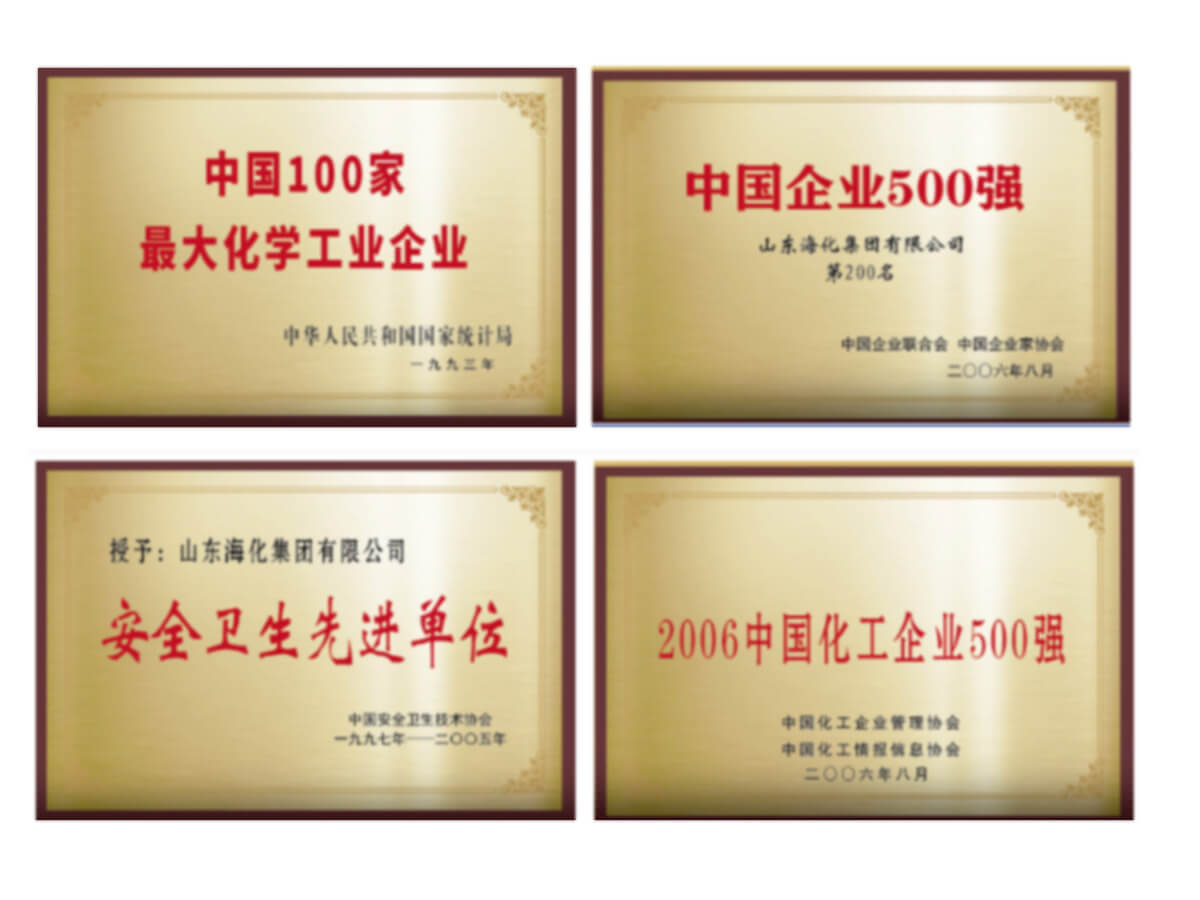 Shandong Haihua Group Co.,Ltd.