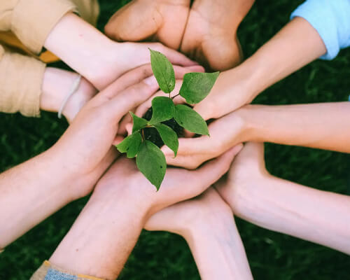 Shandong Haihua Group Co.,Ltd.