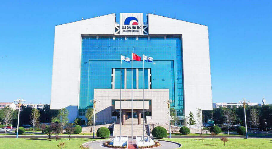 Shandong Haihua Group Co.,Ltd.