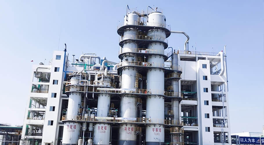 Shandong Haihua Group Co.,Ltd.