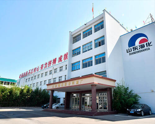 Shandong Haihua Group Company Limited