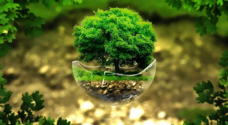 Shandong Haihua Group Co.,Ltd.